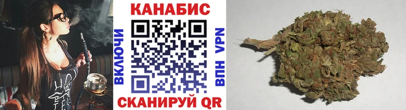 Бошки Шишки VHQ Камешково
